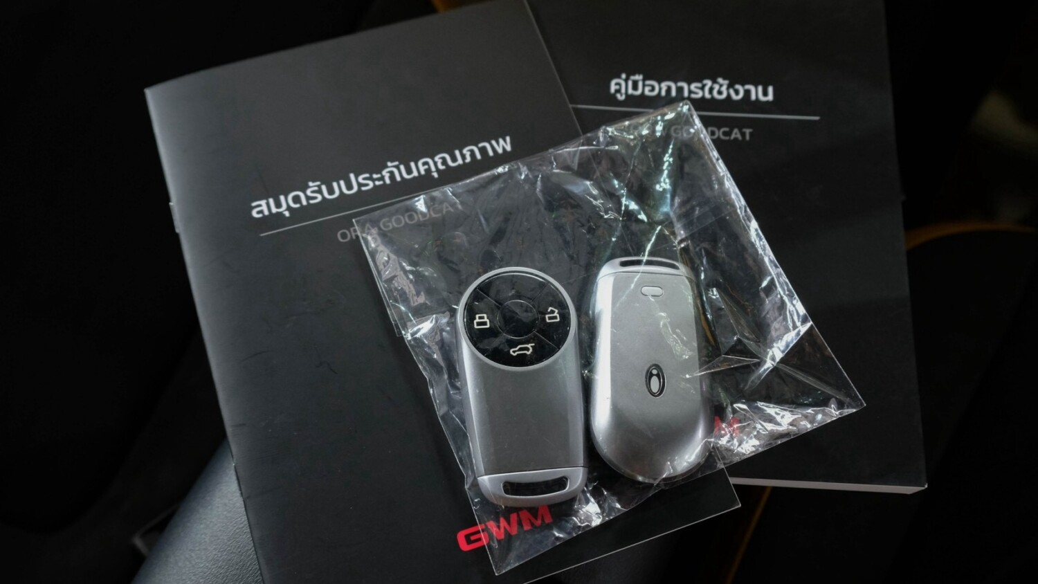LINE_ALBUM_Ora good cat gt ปี24 จด 25 สีเทา ไมล์ 20,000 km_260806_25