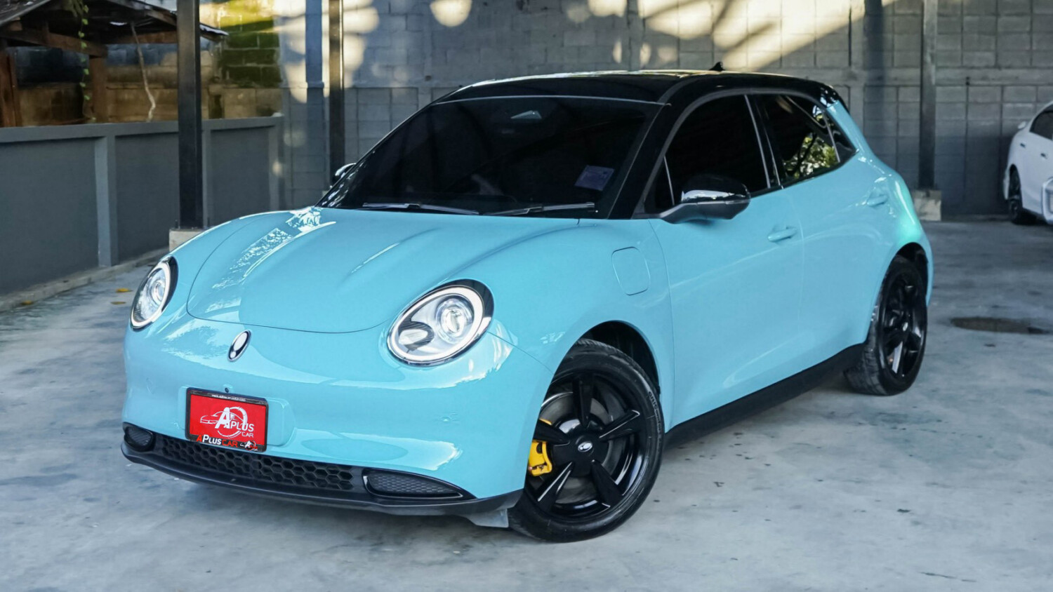 LINE_ALBUM_ORA GOODCAT ปี2025(แท้) สีฟ้า-ดำ ตัวPro ไมล์8000km_260928_1