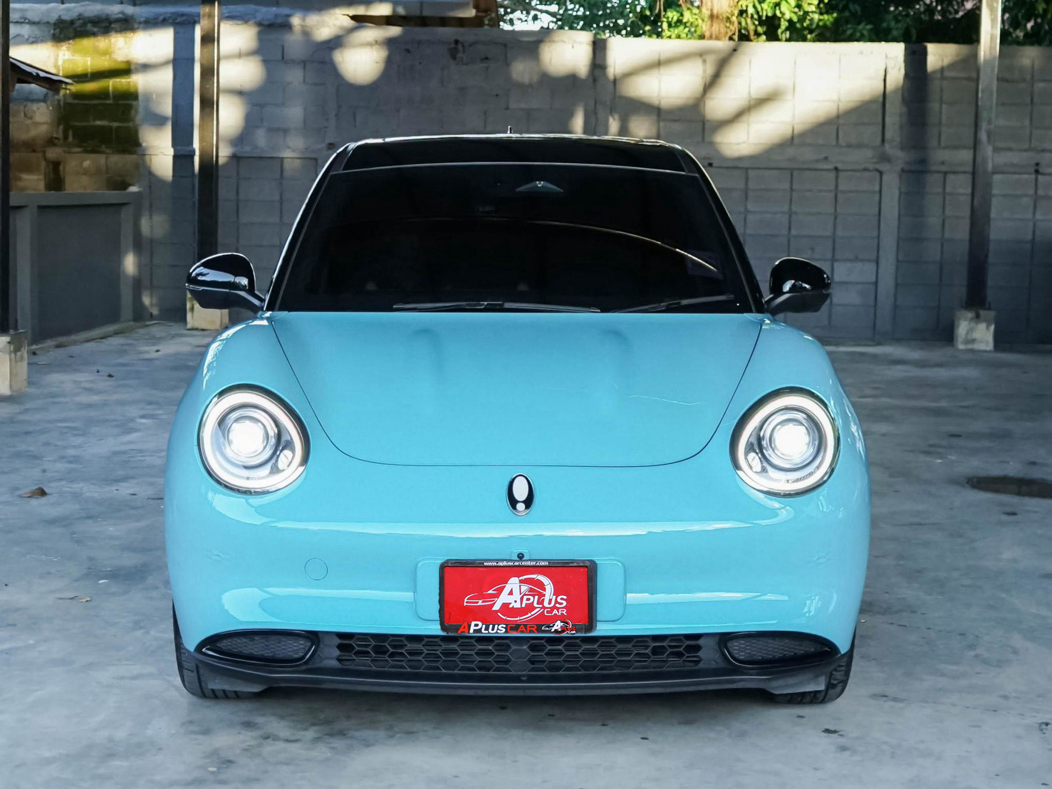 LINE_ALBUM_ORA GOODCAT ปี2025(แท้) สีฟ้า-ดำ ตัวPro ไมล์8000km_260928_2