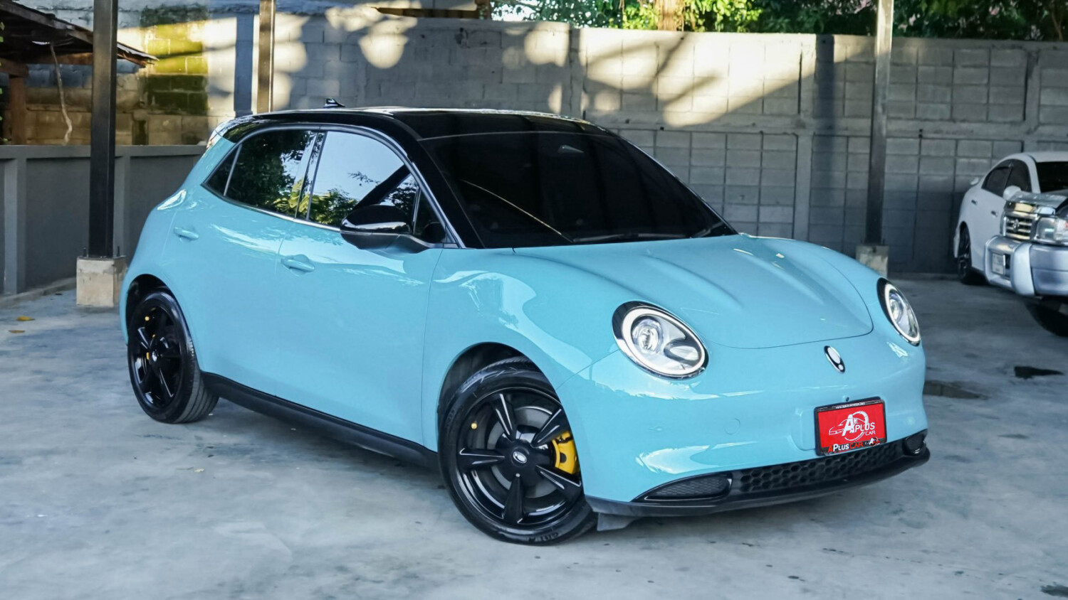 LINE_ALBUM_ORA GOODCAT ปี2025(แท้) สีฟ้า-ดำ ตัวPro ไมล์8000km_260928_3