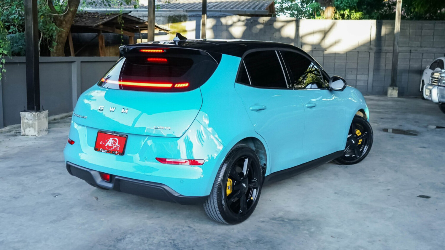 LINE_ALBUM_ORA GOODCAT ปี2025(แท้) สีฟ้า-ดำ ตัวPro ไมล์8000km_260928_8
